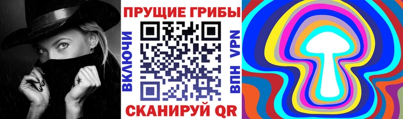 Псилоцибиновые грибы прущие грибы  Смоленск 